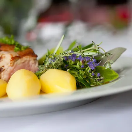 Hotel Hotel-restaurant Romerhof